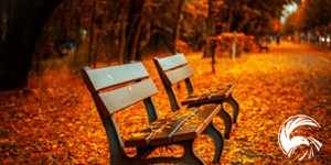 Beitragsbild des Blogbeitrags Morgenroutine: entspannt und kraftvoll in den Tag starten