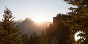 Beitragsbild des Blogbeitrags 10 schwierige Wahrheiten des Lebens, die niemand zugeben möchte