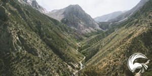 Beitragsbild des Blogbeitrags 6 Wege um deine innere Stimme mundtot zu machen