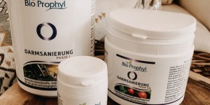 Beitragsbild des Blogbeitrags Darmsanierung von BIOPROPHYL -für ein besseres Bauchgefühl 