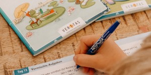 Beitragsbild des Blogbeitrags Homeschooling mit Spaß -Veritas macht es mit den Ferienheften möglich 