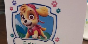 Beitragsbild des Blogbeitrags Paw Patrol Geburtstag