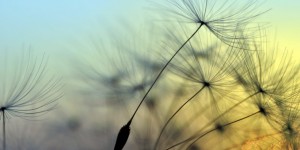 Beitragsbild des Blogbeitrags Lächle…