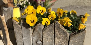 Beitragsbild des Blogbeitrags Bye Bye Winter!