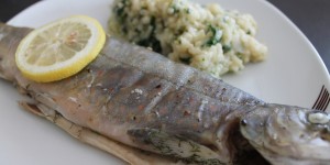 Beitragsbild des Blogbeitrags Frischer Saibling aus dem Gailtal