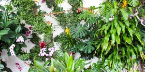 Beitragsbild des Blogbeitrags Ich war in der Orangerie im Mirabellgarten und hab Fotos gemacht 