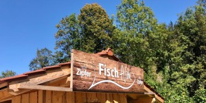 Beitragsbild des Blogbeitrags Fischalm im Almtal