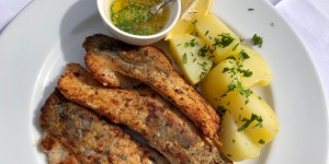 Beitragsbild des Blogbeitrags Wirtshaus HIRSCH delikatESSEN & Schloß Rosenau im Waldviertel