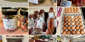 Beitragsbild des Blogbeitrags Brandleitnergut Neuhofen