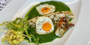 Beitragsbild des Blogbeitrags Creme-Spinat mit Wachteleier und Zanderfilet