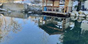 Beitragsbild des Blogbeitrags Fischzucht Maier Goldberg Quelle in Schiedelberg