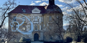 Beitragsbild des Blogbeitrags Gut Hornegg Bio-Fisch ❤️ 