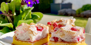 Beitragsbild des Blogbeitrags Joghurt-Ribiselschnitte (low carb, glutenfrei)