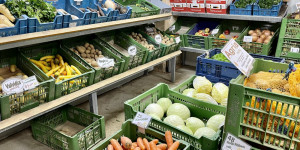 Beitragsbild des Blogbeitrags Kirchgatterer Ohlsdorf 