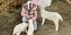 Beitragsbild des Blogbeitrags Bio-Ziegenheumilch Betrieb Schauer in Heiligenberg ❤️