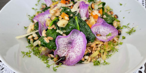 Beitragsbild des Blogbeitrags Emmerreis mit Rhabarber, Kräuterseitlingen, Spinat, Pinienkernen & Parmesan