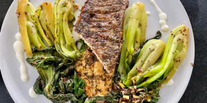 Beitragsbild des Blogbeitrags Pak Choi mit Saiblingsfilet