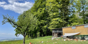Beitragsbild des Blogbeitrags HOLZBAUERNGUT