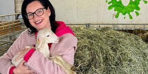 Beitragsbild des Blogbeitrags Alles Schaf - beste Mühlviertler Bio-Schafmilchprodukte