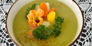 Beitragsbild des Blogbeitrags Kohlrabi-Cremesuppe