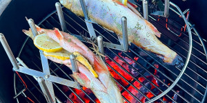 Beitragsbild des Blogbeitrags Zitronen Saibling vom Grill