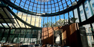 Beitragsbild des Blogbeitrags Clementine im Glashaus
