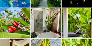 Beitragsbild des Blogbeitrags Private Taste Tipp für eine preiswerte Pool Villa zentral in Bali ❤️