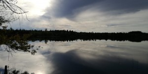 Beitragsbild des Blogbeitrags Familienidyll Heidewanderweg bei Schönram
