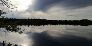 Beitragsbild des Blogbeitrags Familienidyll Heidewanderweg bei Schönram 