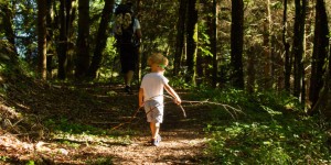 Beitragsbild des Blogbeitrags Rauchenbühel