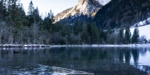 Beitragsbild des Blogbeitrags Wildromantischer Winterzauberwald