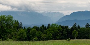 Beitragsbild des Blogbeitrags Ein Nachmittag im Schaukelparadies