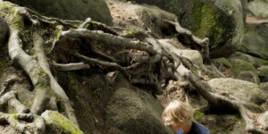 Beitragsbild des Blogbeitrags Urlaub im Odenwald mit Kindern 