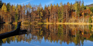 Beitragsbild des Blogbeitrags Wanderung zum wildromantischen Eibensee