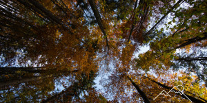 Beitragsbild des Blogbeitrags Gut gelaunt durch den Herbst: eine Bucketlist
