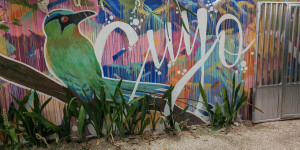Beitragsbild des Blogbeitrags Yucatans unbekanntes Paradies: El Cuyo mit Kindern besuchen.