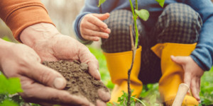 Beitragsbild des Blogbeitrags Urban Gardening mit Kindern: Hol dir die Natur auf Balkon und Fensterbank 