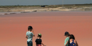 Beitragsbild des Blogbeitrags 6 Gründe die Camargue in Südfrankreich mit Kindern zu besuchen 