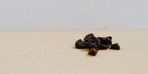 Beitragsbild des Blogbeitrags Achtsamkeit durch DIE Rosinenübung lernen – ANLEITUNG