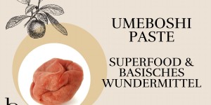 Beitragsbild des Blogbeitrags Umeboshi Paste Superfood und Basisisches Wundermittel
