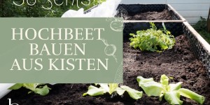 Beitragsbild des Blogbeitrags DIY Hochbeet aus Transportkisten