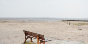 Beitragsbild des Blogbeitrags Alles NEU 