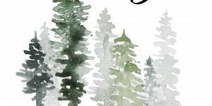 Beitragsbild des Blogbeitrags 3. Dezember – Der Glaube 