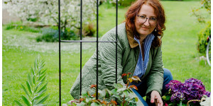 Beitragsbild des Blogbeitrags Britische Träume…