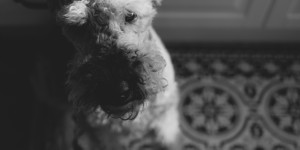 Beitragsbild des Blogbeitrags Abschied