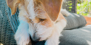 Beitragsbild des Blogbeitrags 2 Monate mit dir