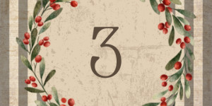 Beitragsbild des Blogbeitrags 3. Dezember – Advent, Advent, ein Lichtlein brennt…