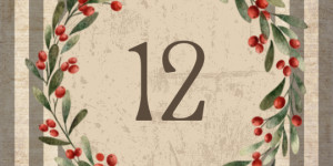 Beitragsbild des Blogbeitrags 12. Dezember – Halbzeit
