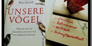 Beitragsbild des Blogbeitrags Unsere Vögel