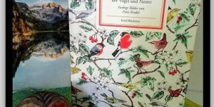 Beitragsbild des Blogbeitrags Das kleine Buch der Vögel und Nester – Buchrezension